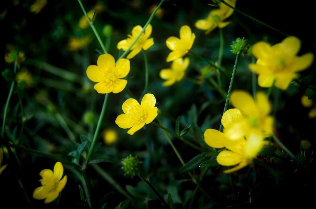 We need happiness, to breathe, to start over.

#NFTCommunity #NFTcollectible #nftarti̇st #nftarti̇sts #NFTJPN #NFTjapan #digitaldrawing #roundantArt #NaturistLifestyle