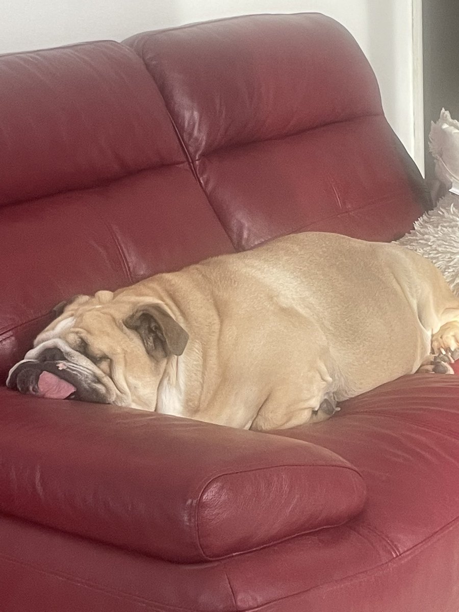 Vic ❤️ tweet media