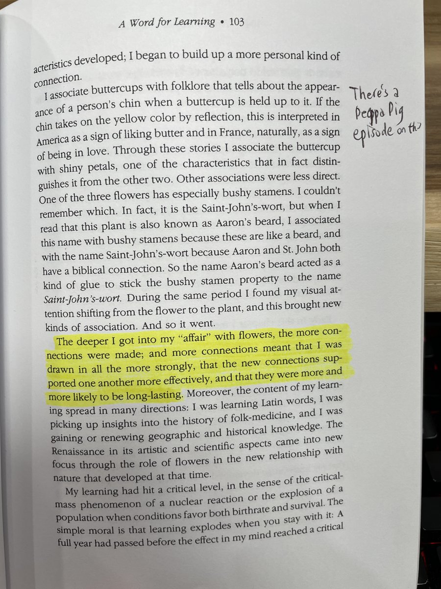 Erica Xu tweet media