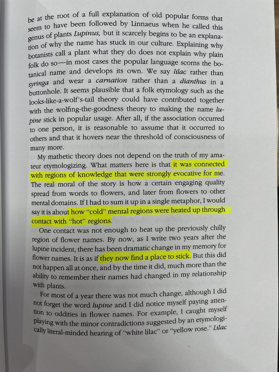 Erica Xu tweet media