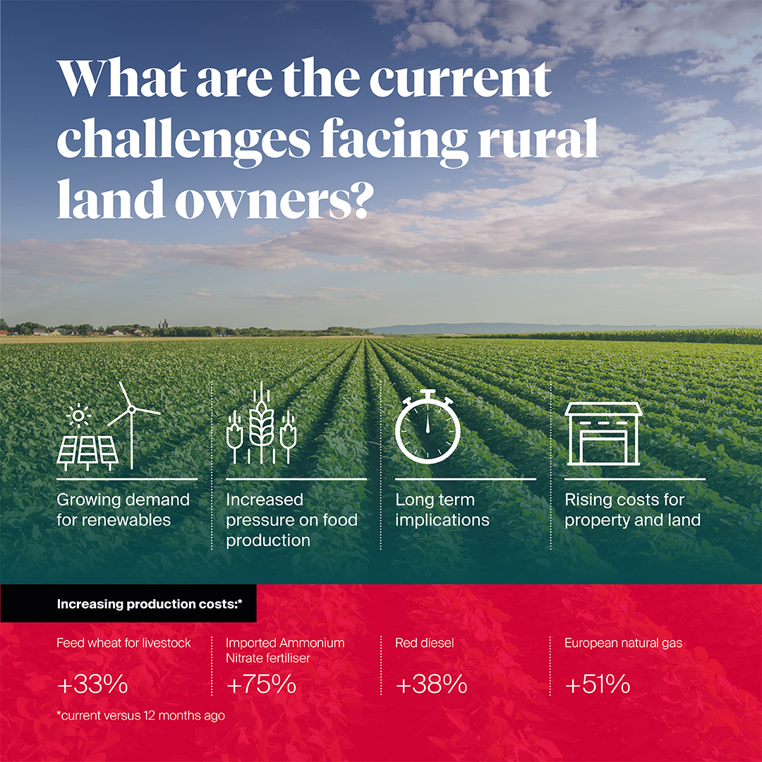 knightfrank's tweet photo. This year’s #RuralReport discussed what Russia’s invasion of Ukraine has meant for the UK’s food chain and the environment.
Our expert team have looked at four key issues and provided their insight on what this can mean for the long term.
Read more: https://t.co/vd0L6jX7l9 https://t.co/GQVuMKSdtT