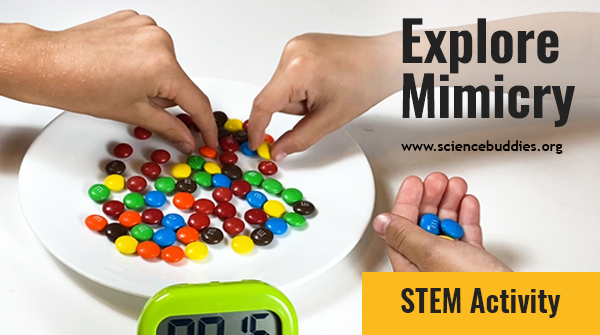 ScienceBuddies's tweet photo. How can mimicry (a form of camouflage) help increase chances of survival against predators? Explore with this #STEM activity using M&Ms and Skittles!
https://t.co/szoa1FQy7q
#scienceteacher #STEMactivity #scichat #candyscience https://t.co/77yPpwnvjR