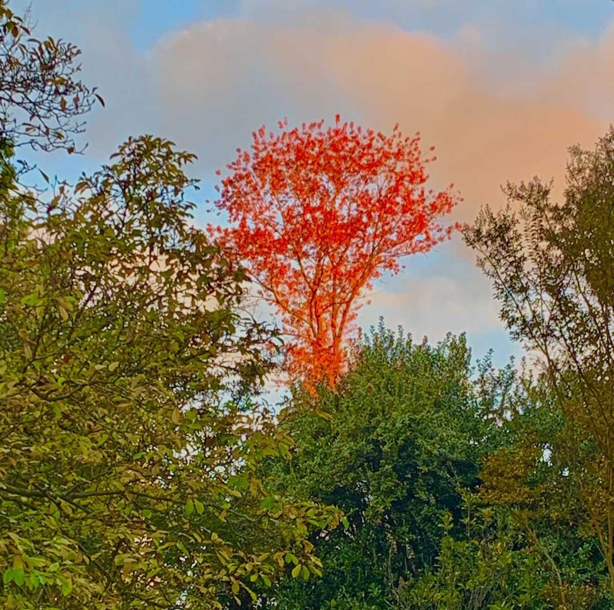 When something goes really well or really wrong, remember the words of Marcus Arielius:

“It’s fortunate that this happened to me.”

Celebrate the good fortune and see what unwrapped gift the bad news will eventually bring. 

#stoicism #frompaintopassion