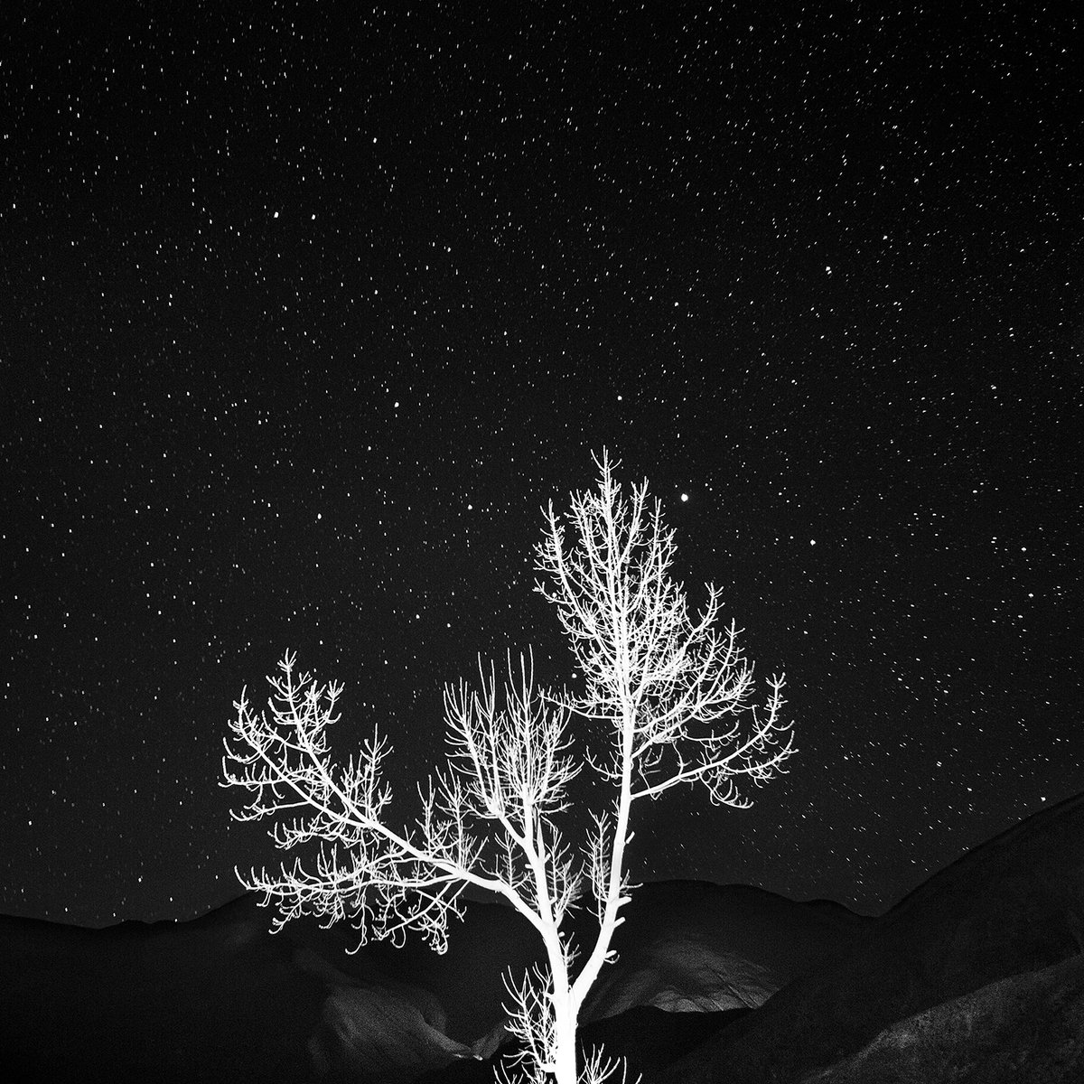 Fotos de <a href="/GianniBulacio/">Gianni Bulacio</a> de su proyecto "S U E Ñ O", sobre la relación entre el territorio andino del norte de Argentina, las personas que lo habitan y los rituales que se transmiten a través de niñas y niños en sus prácticas como fuente esencial de la cultura.