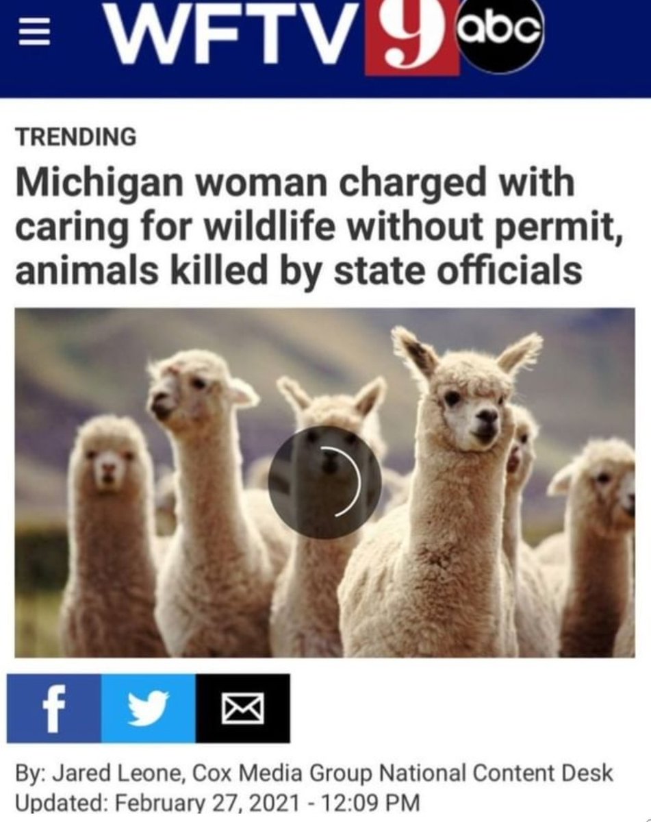 Rothmus 🏴 (@rothmus) on Twitter photo 