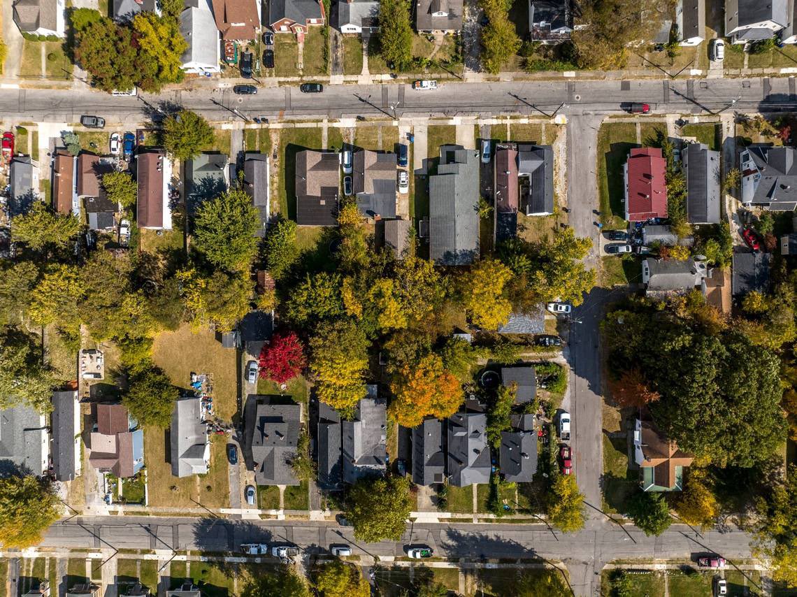 Liam Niemeyer tweet media