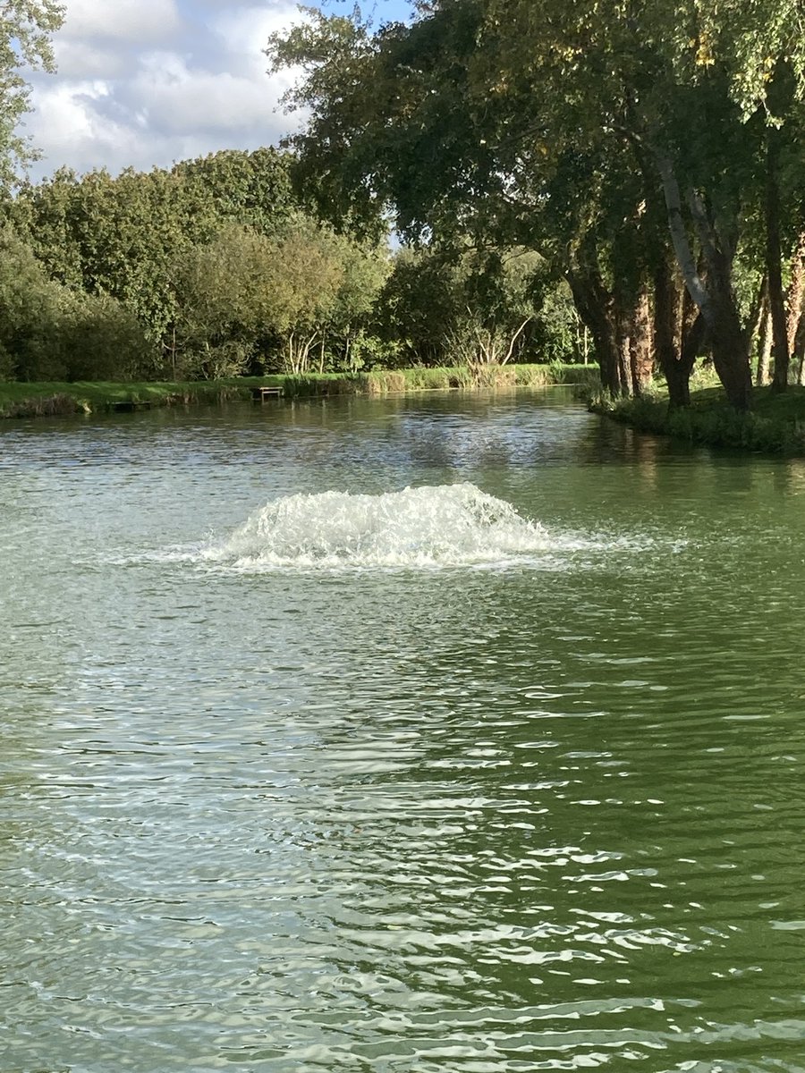 georginabelcher's tweet photo. Lakes looking lovely today at work #WHITEACRES #CORNWALL #lovemyjob https://t.co/IJzCVGS9Qe