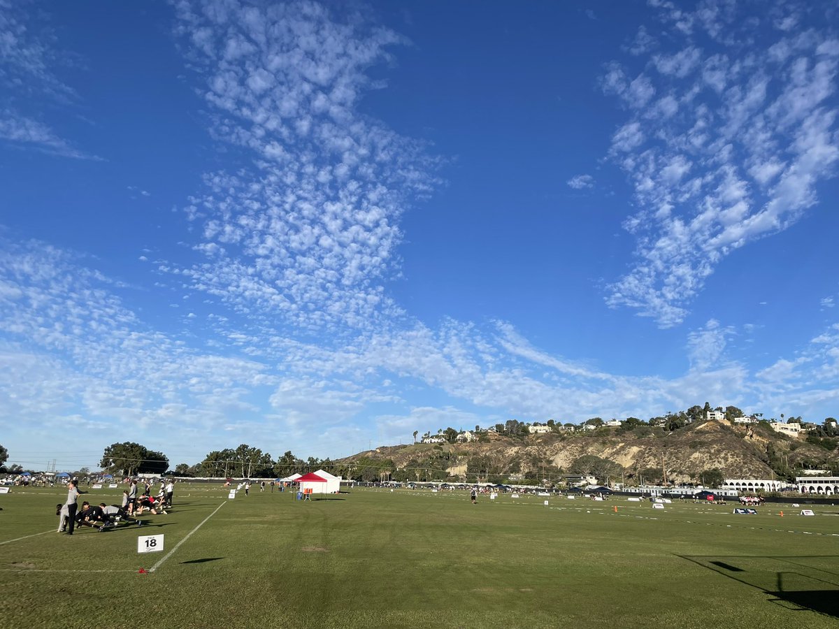 Jenna Weiner tweet media