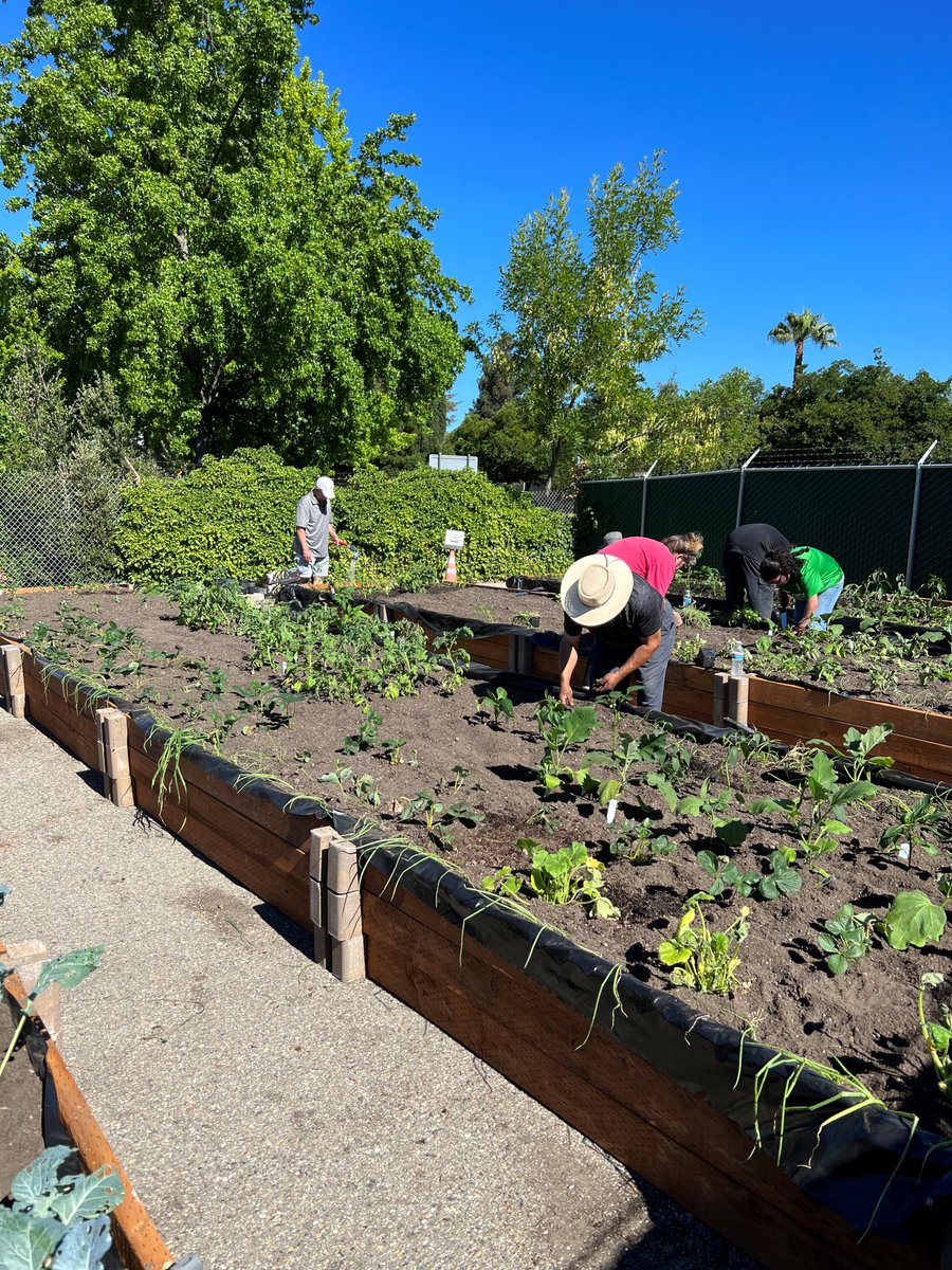 Oldcastle Infrastructure (@oldcastleinfra) on Twitter photo Our team in Pleasanton came together and used a local empty space to plant a garden where they could grow fruits and vegetables. The fresh produce was then shared and eaten among the team, providing them with affordable meal options. Way to go Pleasanton!
#PeopleofOI Our team in Pleasanton came together and used a local empty space to plant a garden where they could grow fruits and vegetables. The fresh produce was then shared and eaten among the team, providing them with affordable meal options. Way to go Pleasanton!
#PeopleofOI