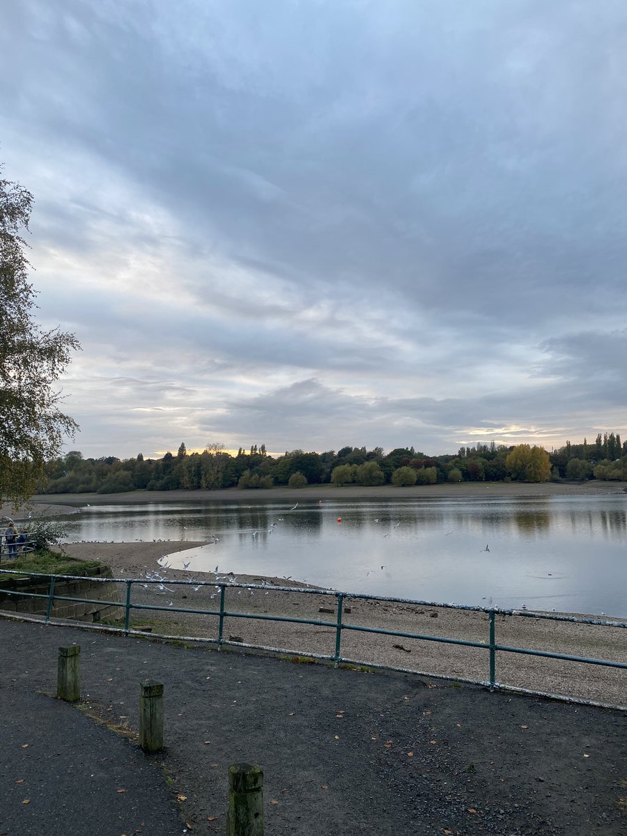 katie_sheah's tweet photo. Lovely evening walk around Birmingham after work with the @irwinmitchell team. Raising awareness and supporting @MouthCancerMCF #walkfromhome #MCF10kmwalk  @phoebelsmart @JessAllanIM @charlotteIM_ https://t.co/MoWAfMPwG0