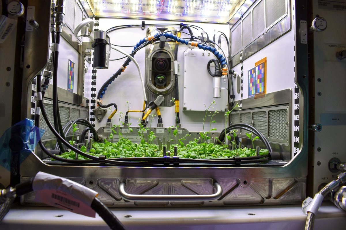 NASA's tweet photo. Lots of science is launching on the #NG18 cargo mission to the @Space_Station, including experiments on human tissue and plant growth. Plus: the first satellites from Uganda &amp; Zimbabwe.

Join us on Oct. 25 to have your #AskNASA questions answered live: https://t.co/MD0F2b1LdS https://t.co/Ir6Nq3aUIw