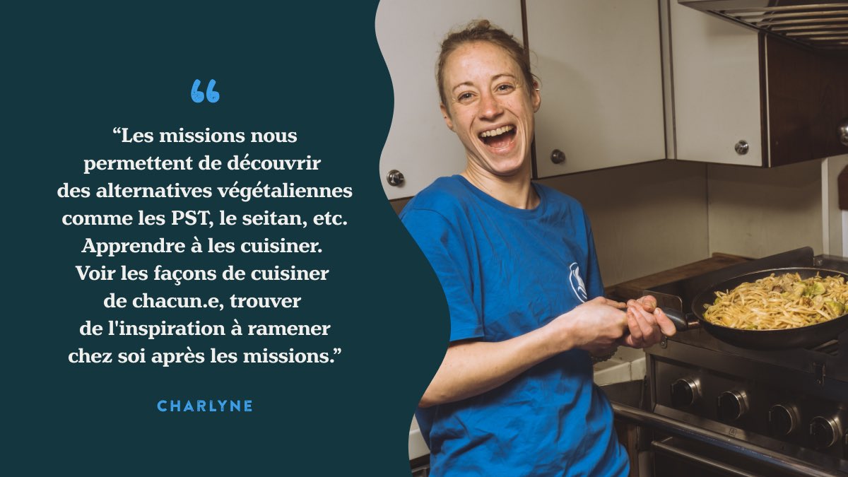 Wings of the Ocean tweet media