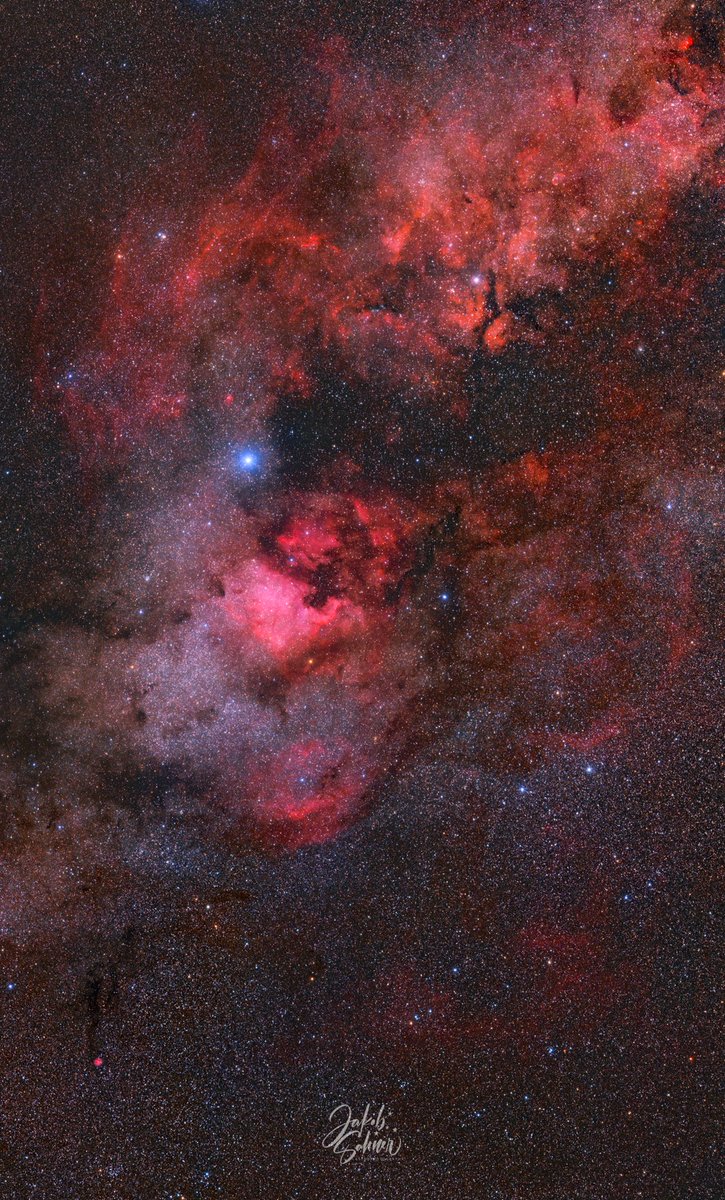 It was time for a new cygnus mosaic! This time with my old Tamron 70-200 lens :)