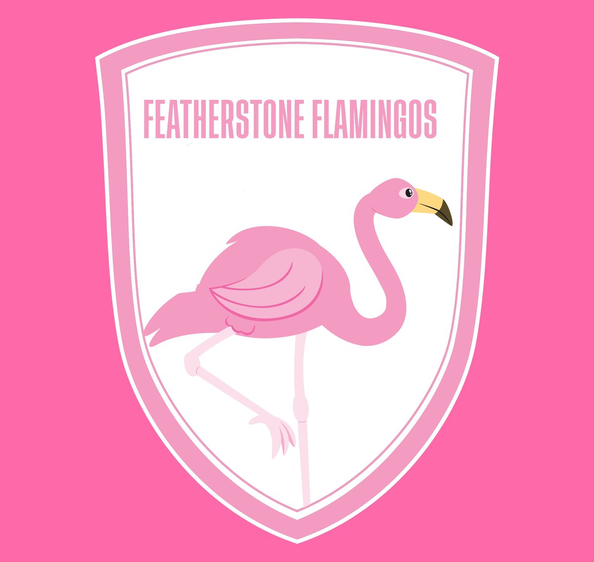 Have your say on our proposed new identity, introducing the Featherstone Flamingos 😉🦩