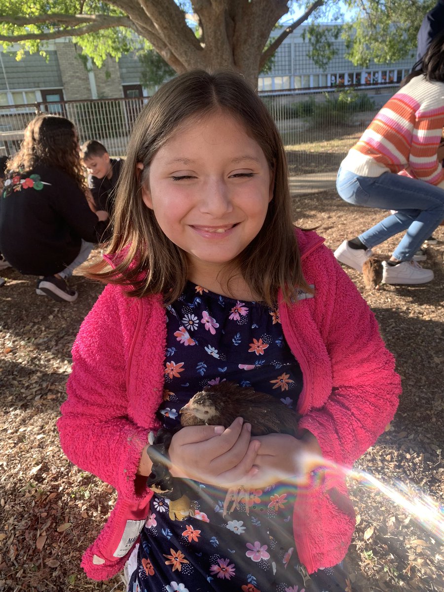 MsBowers_'s tweet photo. These party animals were rewarded for their high attendance with a petting zoo today! Woohoo! @CFELISD 🥳 https://t.co/Xt8OrFHnmJ