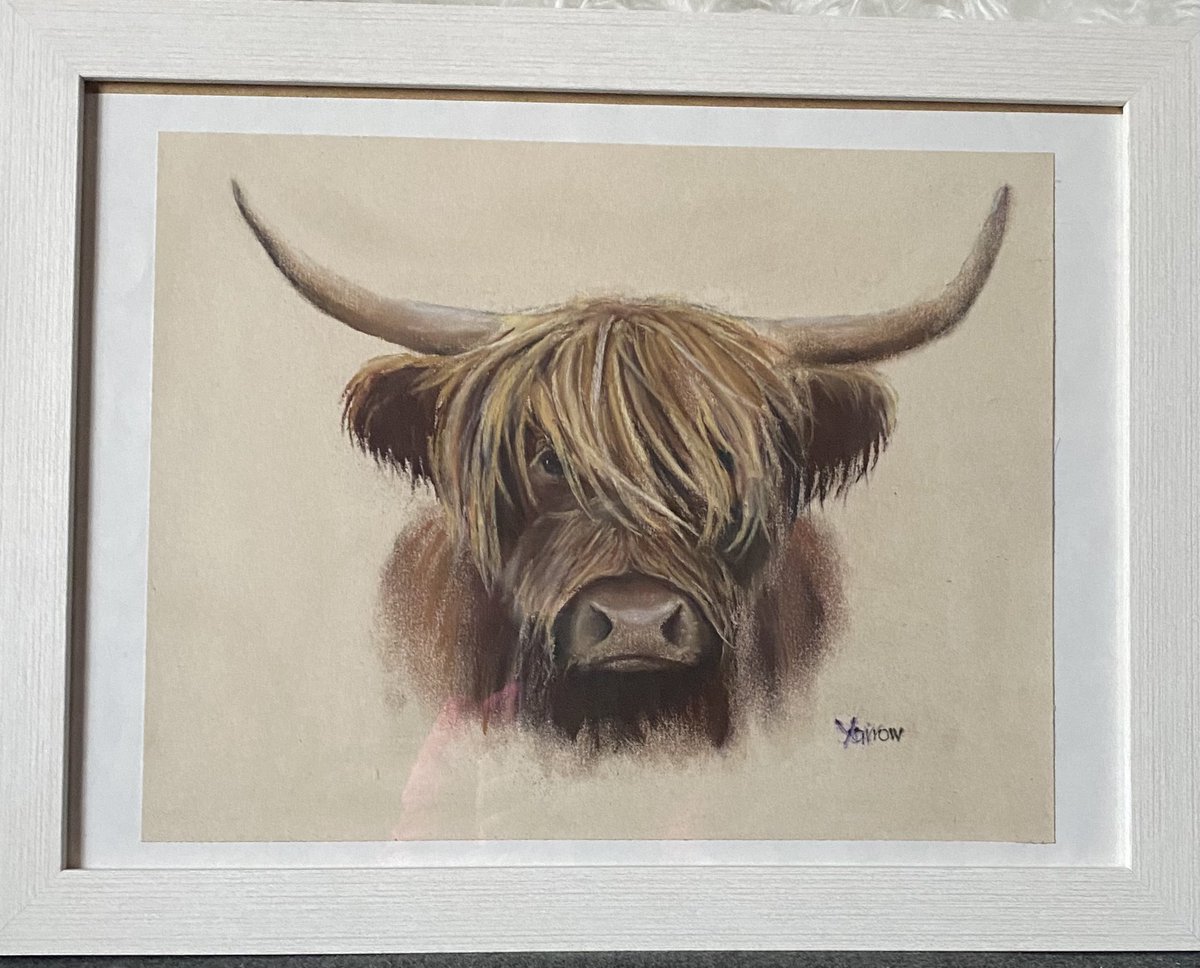 ladysirius1's tweet photo. #Highlandcows again and they seem to work well in #pastel. Upping the game for #christmas with a couple of #craftmarkets to do.  #art #painting #Scotland #scottishartist #original #HandmadeHour #WomanInBizHour #MHHSBD #artforsale #ArtistOnTwitter https://t.co/Ef6IunTjSD
