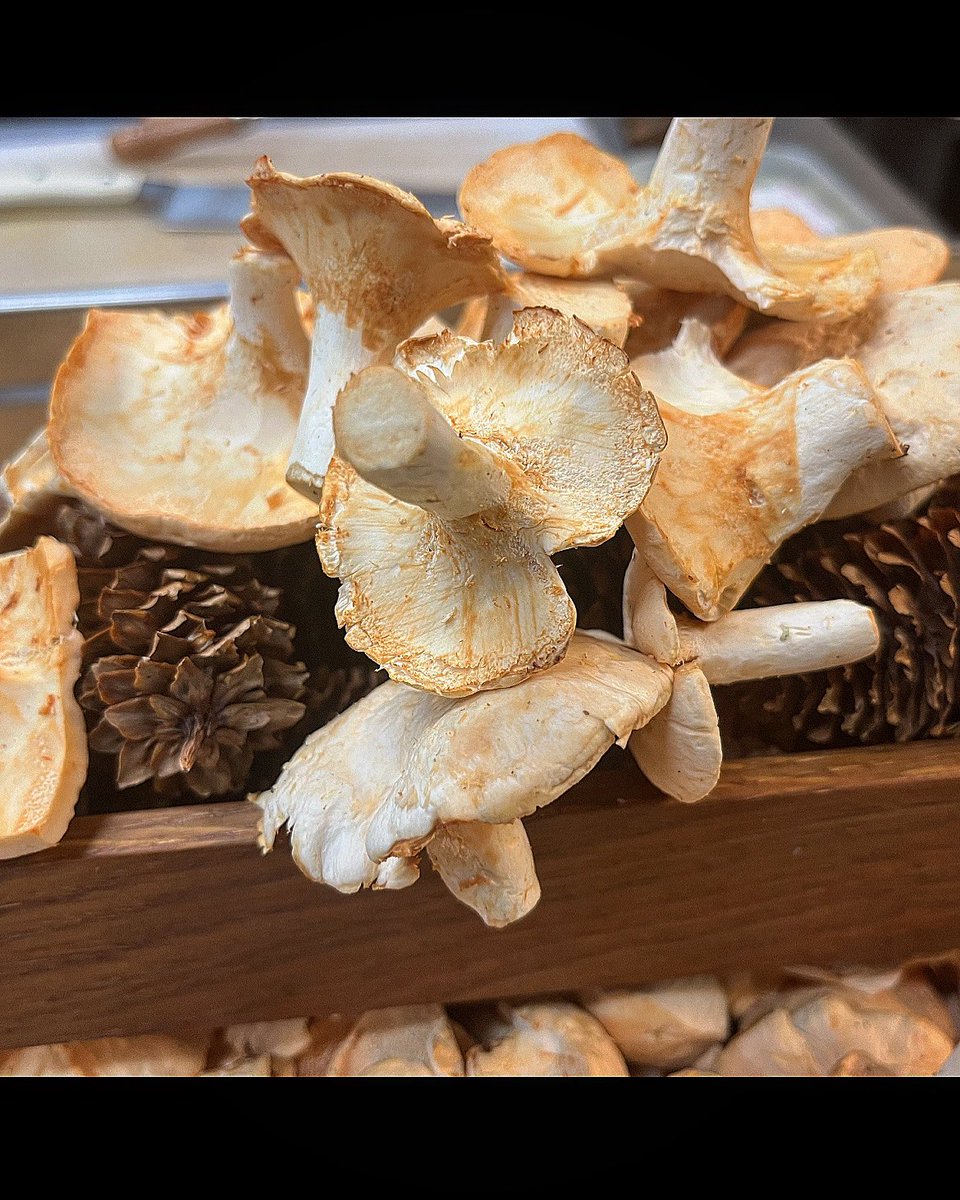 Adam Jackson tweet media