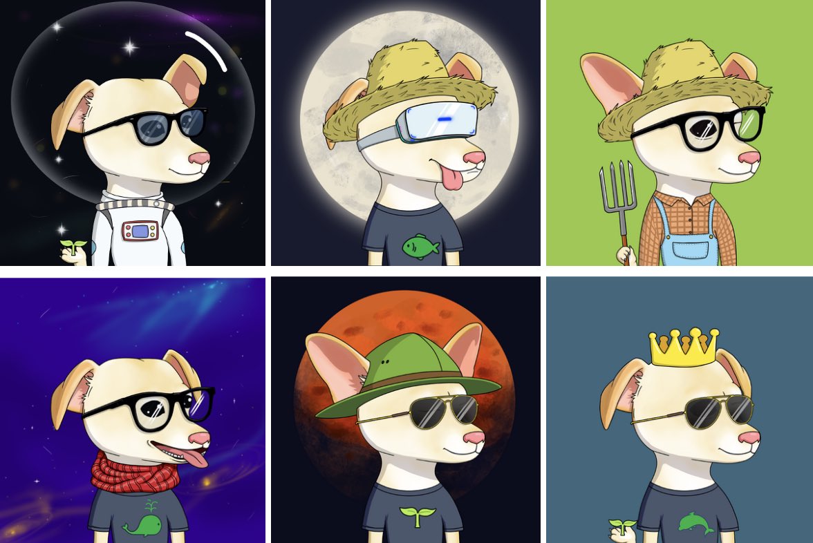 Space Pool ๐ฑ (@thespacepool) on Twitter photo Over the next 48 hours, Space Pool farmers๐ฉโ๐พ can enter the raffle in our discord for 20 Space Dogs NFTs ๐ถ (Chia themed ๐ฑ) from <a href="/space_labs_nfts/">Space Labs ๐ฑ (๐ฅ,๐ฆ, ๐ถ)</a> Over the next 48 hours, Space Pool farmers๐ฉโ๐พ can enter the raffle in our discord for 20 Space Dogs NFTs ๐ถ (Chia themed ๐ฑ) from <a href="/space_labs_nfts/">Space Labs ๐ฑ (๐ฅ,๐ฆ, ๐ถ)</a>