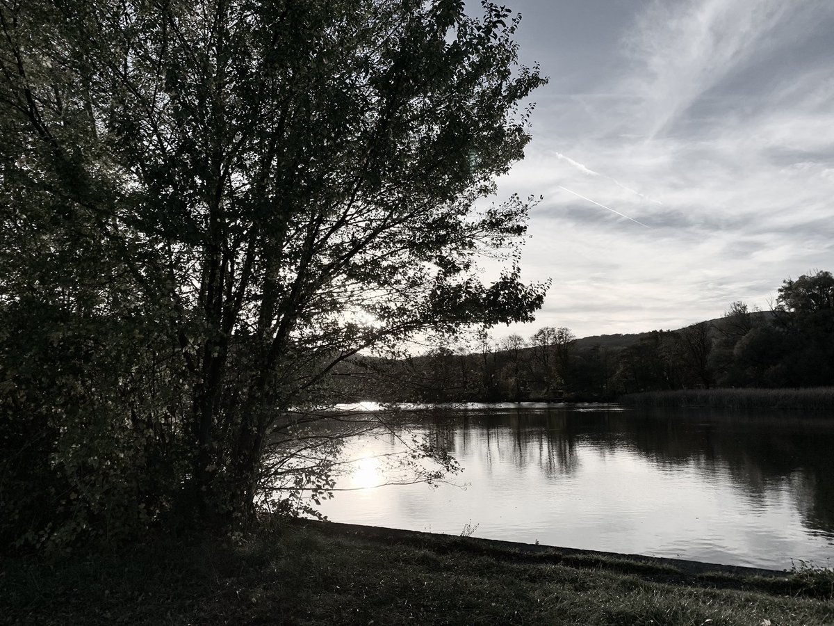 Michaela C. Theurl tweet media