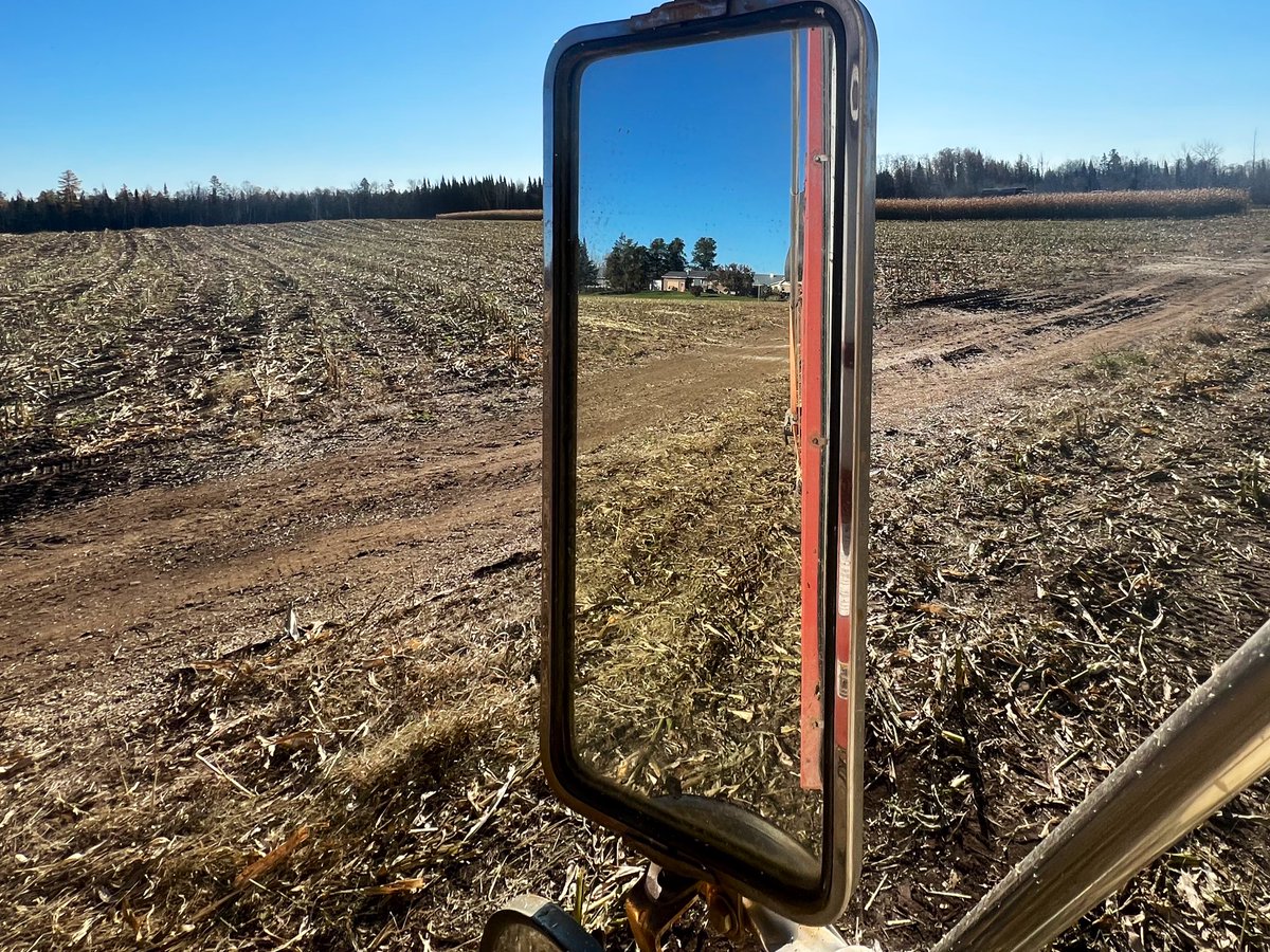 BernieKamphof's tweet photo. #corn2022 day three. Loving the sun! #pleasenorain https://t.co/TKDPKTeP84