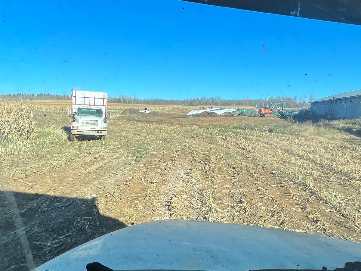 BernieKamphof's tweet photo. #corn2022 day three. Loving the sun! #pleasenorain https://t.co/TKDPKTeP84