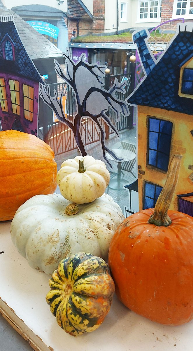 roalddahlmuseum's tweet photo. We're looking suitably Halloweeny for #halfterm thanks to @Peterleyfarm who have donated a great big bunch of amazing pumpkins! Thank you! https://t.co/KxW5vb10iY