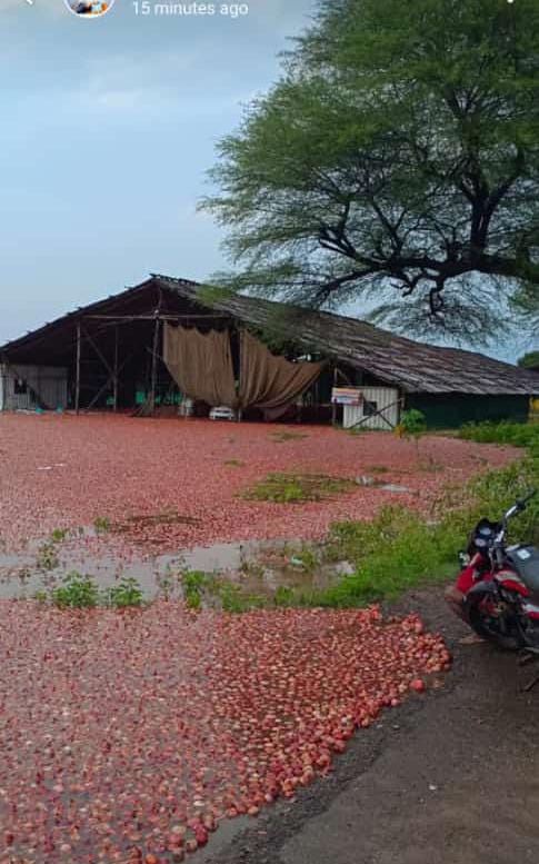 HonSujay's tweet photo. कधी वाट बघायला लवतो.
तर कधी वाट लावतो 🌩️⛈️
लोक पुढे जाण्या साठी माणसाशी लाडतात.
पण हा बळीराजा समोर येणाऱ्या नसर्गिक आपती मध्ये एकटाच भिडतो. https://t.co/AXH5NfYC5a