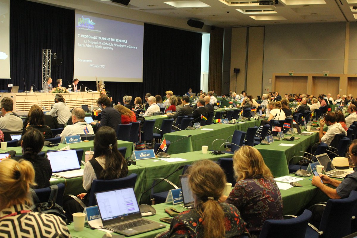 whalesorg_de's tweet photo. The #IWC68 chair has closed the discussion on the proposal for the South Atlantic Whale Sanctuary to #IWC69 in 2024. This is a huge shame considering that the Sanctuary was proposed 20 years ago.

#StopWhaling #SaveTheWhaleSaveTheWorld https://t.co/I5DQWuByQe