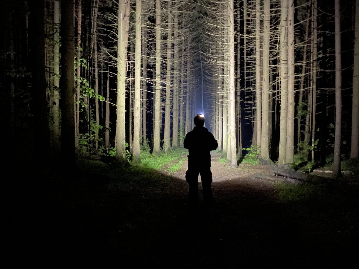 ‼️ Кто переживал, что сезона нет и хотел лес? У Ватсона есть огромный лес🌲, в лесу уже сутки блуждает женщина. У меня есть какао☕️. Комбо!
Только вот искать ее пока некому. 
Вы умеете искать! Приезжайте! 
lizaalert.org/forum/viewtopi…