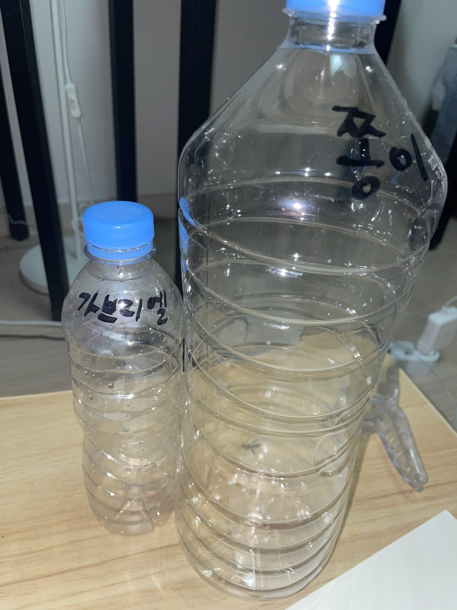 qicnz's tweet photo. 새식구 가브리엘, 쫑이 https://t.co/HQH5V5O9pJ