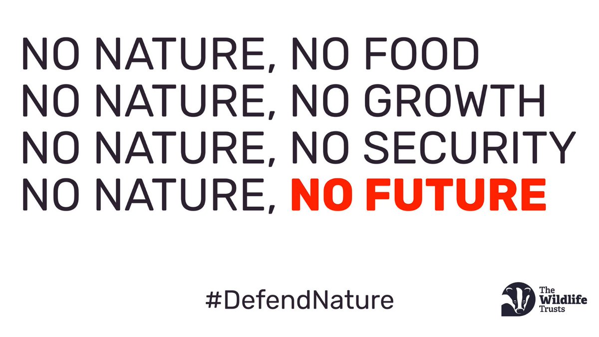 The Retained EU Law Bill, which puts nature laws at risk, must be stopped. UK Gov no longer has the mandate to continue. They must stop the #AttackOnNature immediately and instead concentrate on publishing environmental targets by the end of Oct as required by the Environment Act
