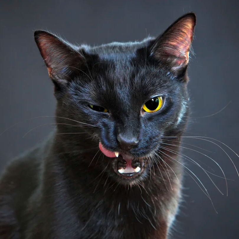 Fosse Healthcare tweet media