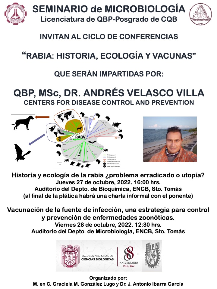 Ibarra_Lab's tweet photo. Los invitamos a nuestros primeros seminarios presenciales en el Depto de MIcro de la @IPNENCB del @IPN_MX . Tendremos al Dr. Andrés Velasco que nos hablará del virus de la rabia. Esperemos nos puedan acompañar. @CQB_IPN #QBP #ENCB #IPN https://t.co/DfGpiY3fUI
