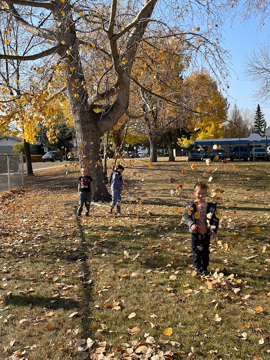 GWSmithSchool's tweet photo. So glad we were able to enjoy our last warm Fall day yesterday!  What a great day!  #gws #lionspride https://t.co/Y09GQ0aRGX