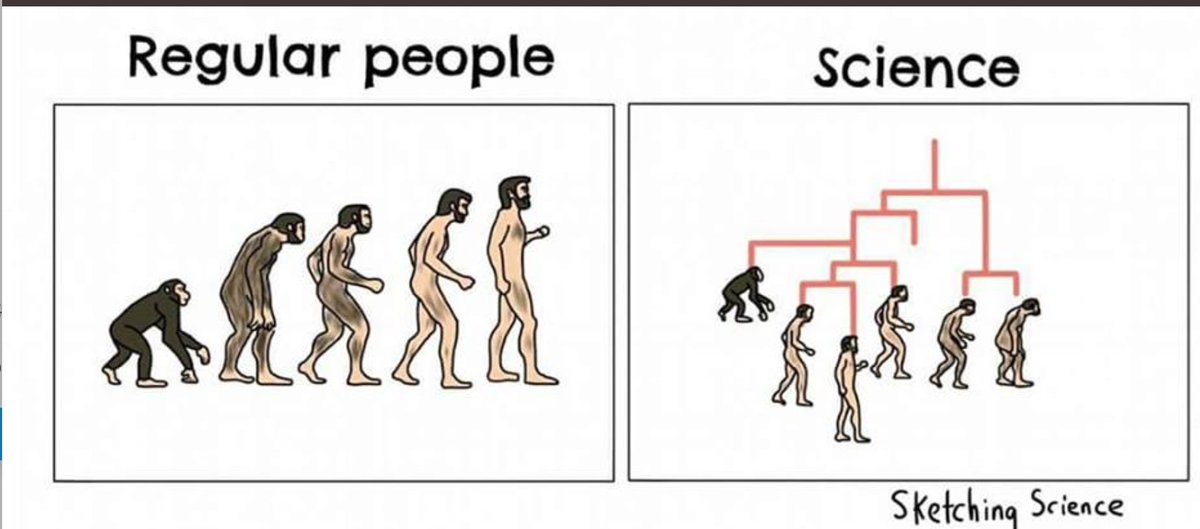 a constant battle to explain phylogeny instead of hierarchy (even to scientists) - this captures it so well #evolution