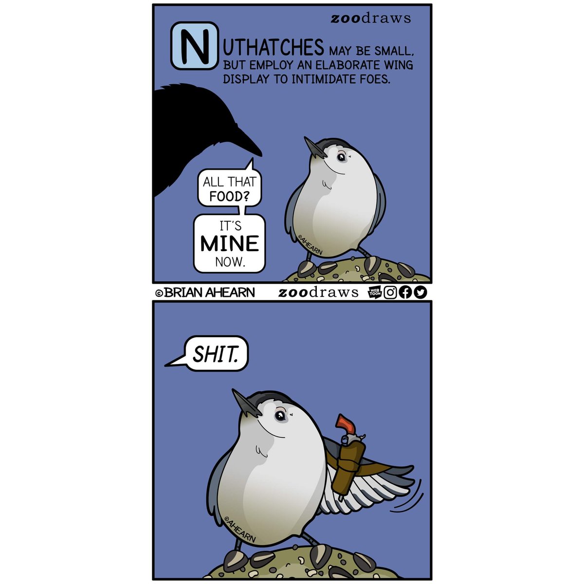 Zoodraws's tweet photo. Go Ahead - MAKE HIS DAY. One of my all-time favorite birds, Nuthatches are as feisty as they are adorable. When confronted by... #nuthatch #birdability #birdfacts #birdcomic @birdability https://t.co/S2tVeKWmq9