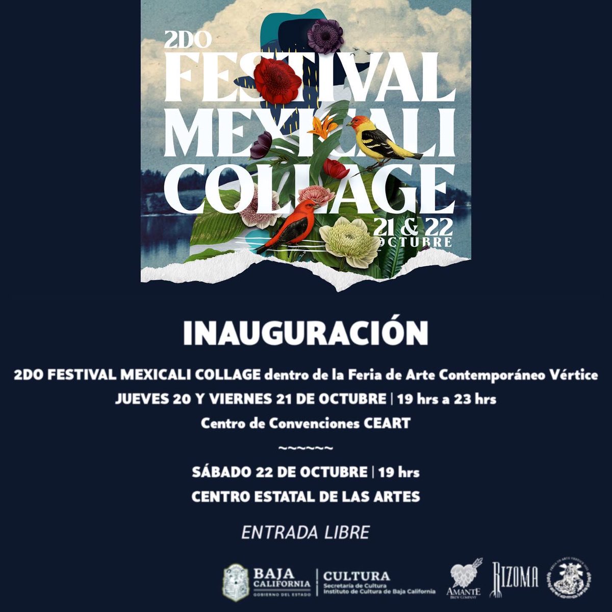 Francisco Toro- Collage tweet media