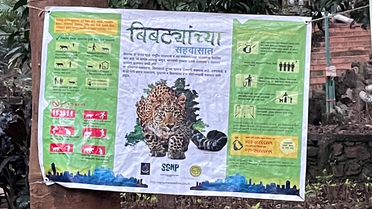 I'm on sabbatical in India, enjoying the chance to meet lots of new people doing great work in dev econ. Hoping to share the work of young scholars @ all the places I visit. Yesterday I was @Igidr_Mumbai, whose campus has a leopard warning sign (no joke)... 1/n