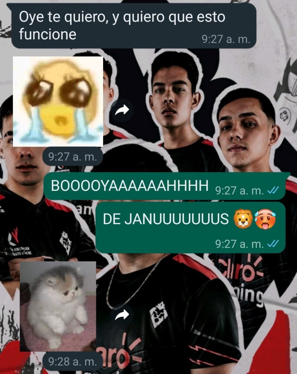 JanusEsports's tweet photo. ¡Que onda mis wachos! 👊 ¿Ya están practicando para la final de la #FFL? 🥵🦁
#CLAROGAMING 🇬🇹🇭🇳 #AMÁDEMISSABORES #PLAYLAL #FREEFIRELEAGUE https://t.co/bpvRhCmYuE