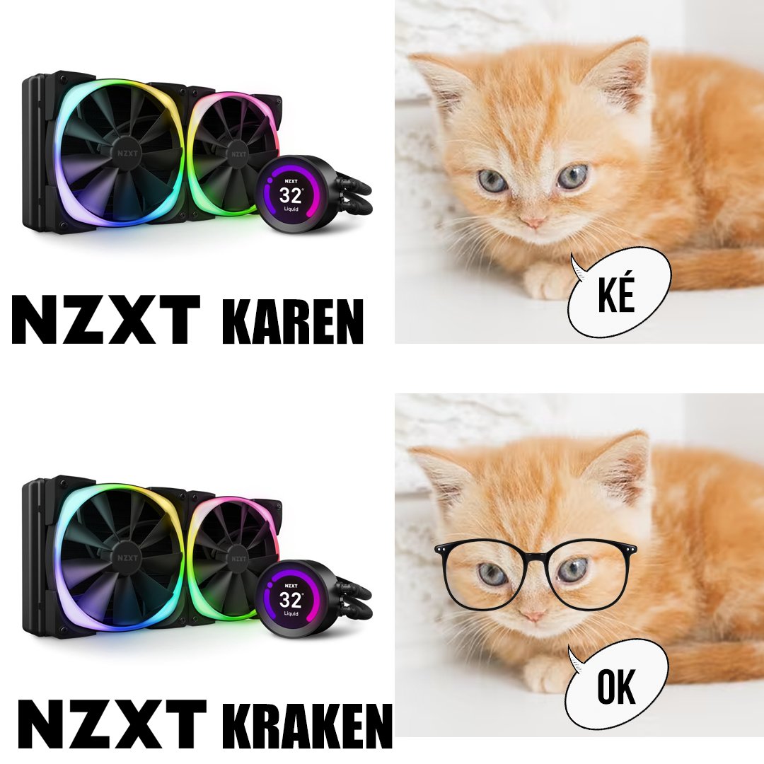 redcomputerbcn's tweet photo. Red gatito, Red gatito 🤦‍♀️

#Memeviernes #Memeday #BuenosDías https://t.co/WH1FXJJ9zz