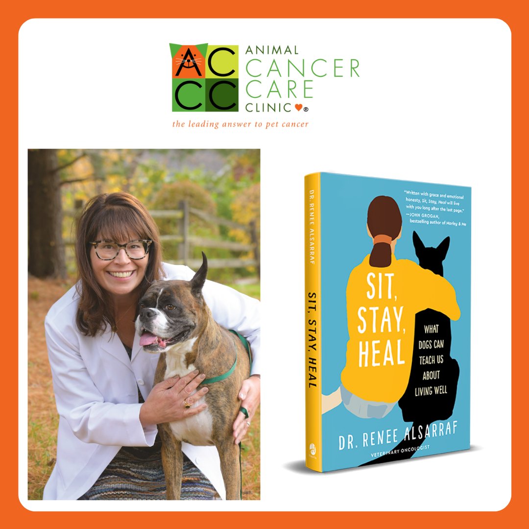 PetCancerCare's tweet photo. We are so proud and excited to be hosting Dr. Alsarraf at two events for Florida vets. Check out her interview with https://t.co/ffqP9JDPIh by clicking here: https://t.co/Zp8uN863eT https://t.co/aJnklS9taM