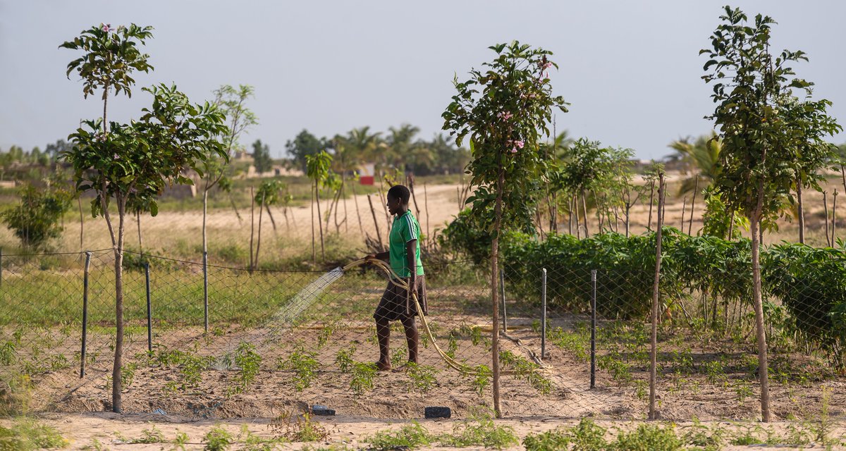 💧 A clear message to countries in preparation for the #UN 2023 #Water Conference - Prioritizing strongly interlinked #SDGs to accelerate progress across multiple sectors. Read the Op-Ed here: 👉go.unu.edu/WpjZM #SDG6