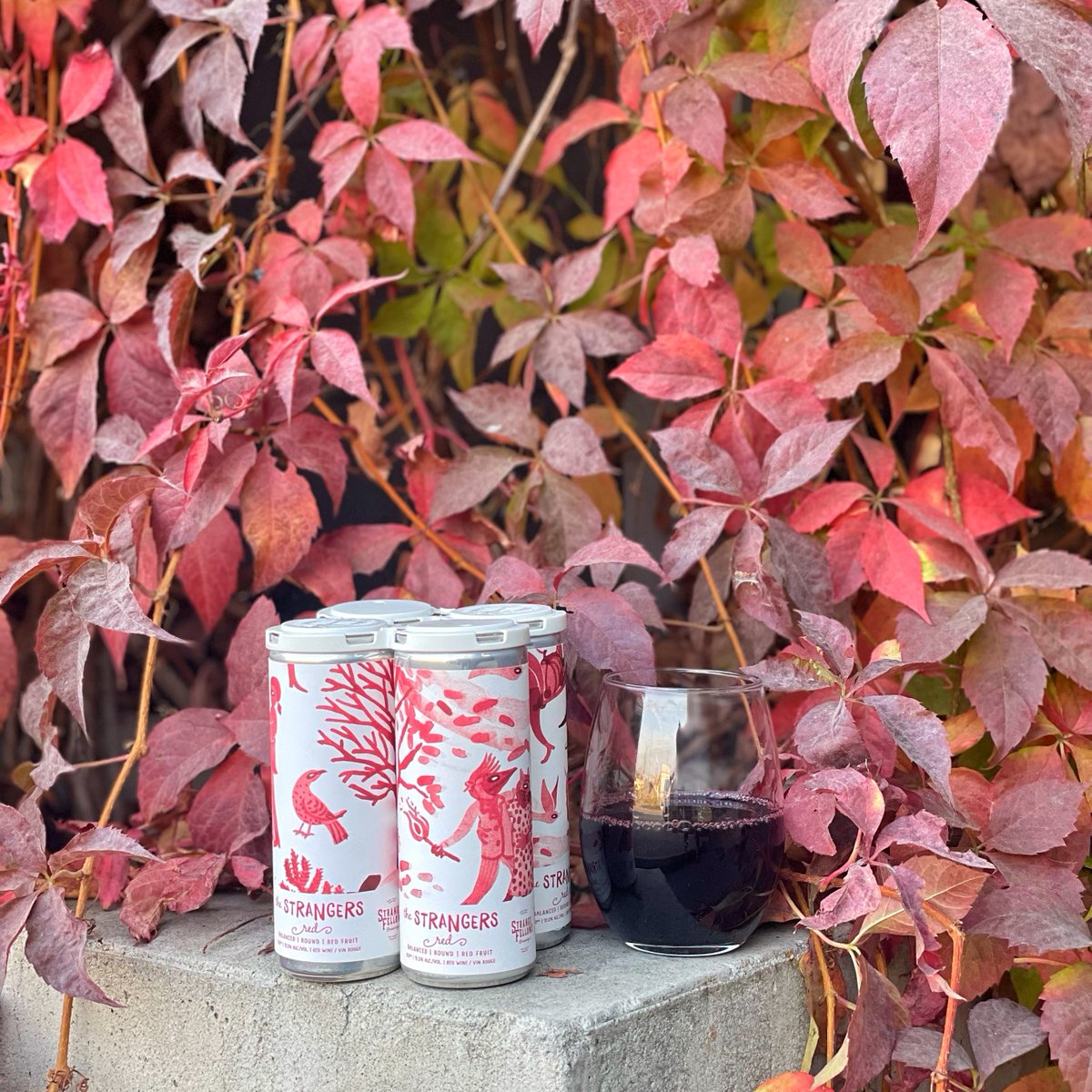 FALL FOR THE STRANGERS🍁 // Leaves are falling. Wine is calling. Perfect time to try our STRANGERS Red 🍷⁠⁠ 

Its dark red fruity character and earthy herbal tobacco notes remind us that there’s no time like the present to do what makes you happy.
