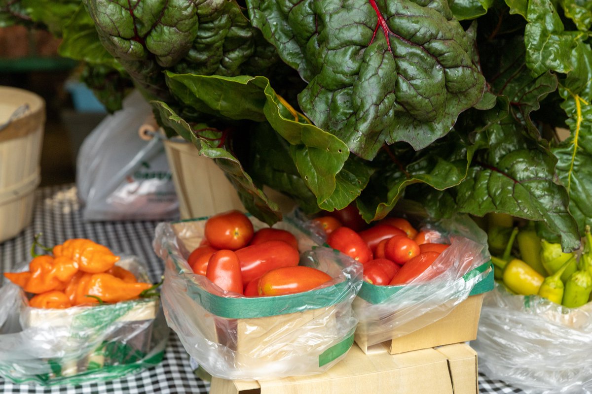 Capuchin Soup Kitchen tweet media