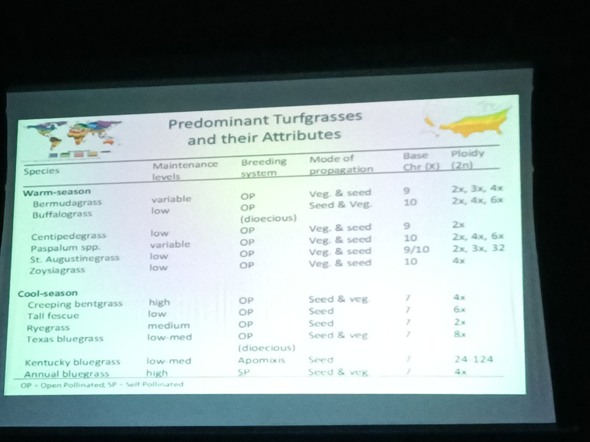 josepcirera's tweet photo. Segunda jornada del #Congreso #Sigra VIII en Botucatu(Brasil).
Conferencias excelentes y gran interés en los productos de @SemillasFitoTG.
#Tahoma31 bermudagrass
#Ibiza bermudagrass
#Gobi bermudagrass
#Geeenland, #Rinovo, #Process, #Sun, #Ringles #PRG https://t.co/D7dgonFHQ5