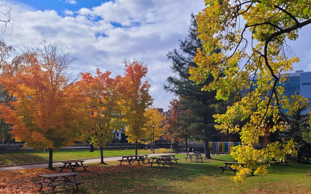 CarletonLING (@carletonling) on Twitter photo Are you interested in studying Linguistics or Applied Linguistics & Discourse Studies <a href="/Carleton_U/">Carleton University</a>? Come find out more at our Open House this Saturday, October 22! <a href="/CarletonLing/">CarletonLING</a> and <a href="/ALDSCarleton/">ALDS Carleton</a> will be there! See the full schedule at: admissions.carleton.ca/openhouse/ Are you interested in studying Linguistics or Applied Linguistics & Discourse Studies <a href="/Carleton_U/">Carleton University</a>? Come find out more at our Open House this Saturday, October 22! <a href="/CarletonLing/">CarletonLING</a> and <a href="/ALDSCarleton/">ALDS Carleton</a> will be there! See the full schedule at: admissions.carleton.ca/openhouse/