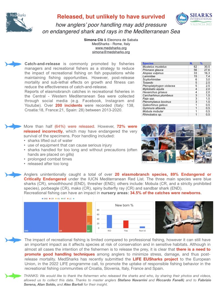 MedSharks's tweet photo. Released, but unlikely to have survived: how #recreationalfishing poor handling techniques may add pressure on endangered #sharks and rays in the #Mediterranean Sea. we’re at #SharksInternational2022 #EUSharks #MedSharks https://t.co/VIHQZ5gvJu