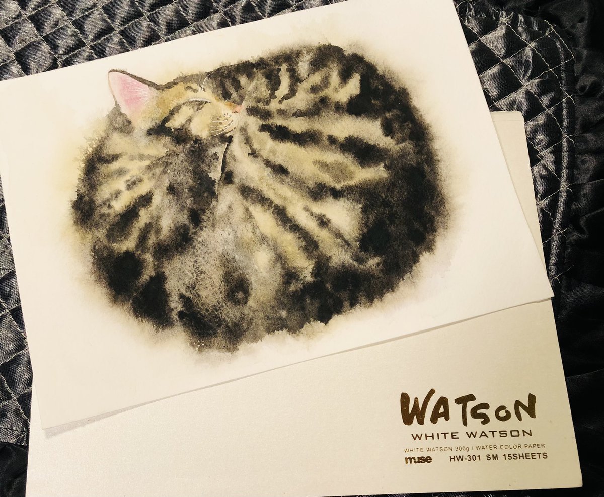 猫のおしりぽんぽん🪐 (@magicapon) / Posts / X