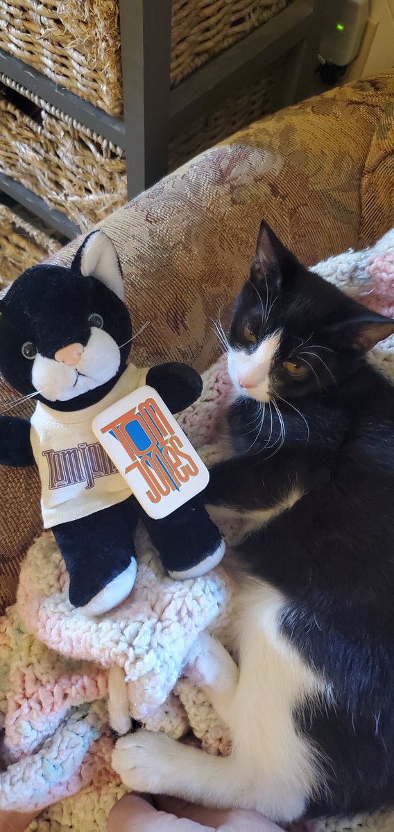 EricaLandis6's tweet photo. Now I know why our new kitten seemed so familiar. Official @RealSirTomJones merchandise circa 1995ish NJ. Prized possession, love you Sir Tom! https://t.co/Bl3fkL1aiu