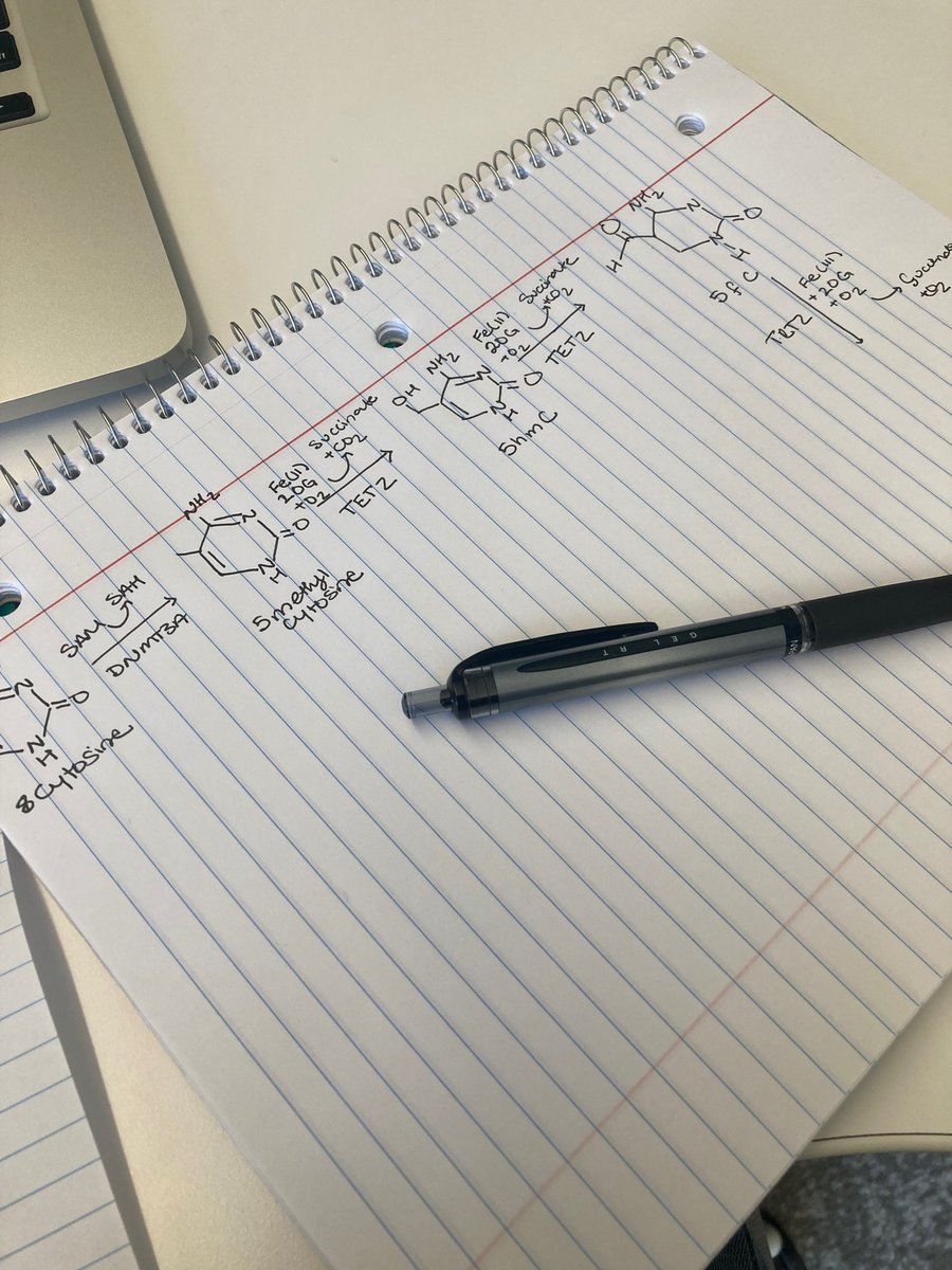 Apoorva Thatavarty tweet media